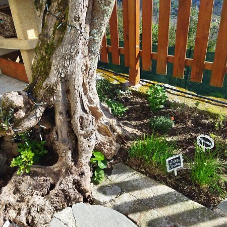 Amphiorama Villa La Spezia Buitenkant foto
