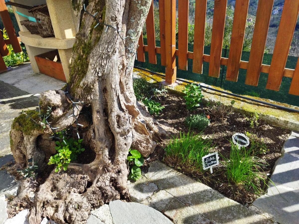 Amphiorama Villa La Spezia Buitenkant foto